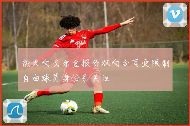 热火向戈尔金报价双向合同受限制自由球员身份引关注